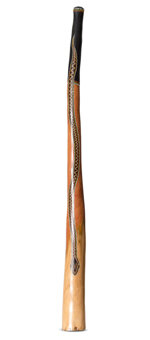 Jesse Lethbridge Didgeridoo (JL313)